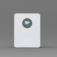 Wall-mounted Lithium Battery