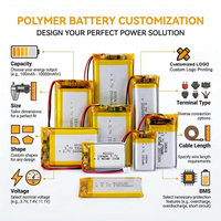 lithium ion battery pack